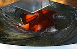 natural innovation foundation