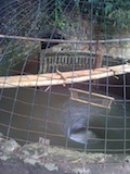 vortex turbine prototype