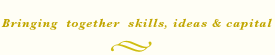 Bringing together skills ideas and capital